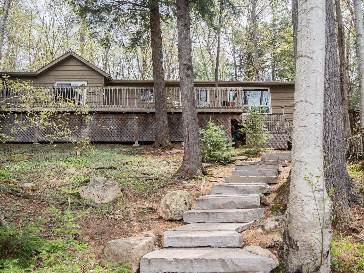 Lake Front Cottage Bird House